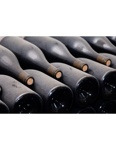 Vin de vinoteca - Riesling Italian 1997 - Valea Călugărească, 0.75L ➜ LaRepublica.Ro