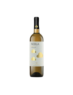 🥂 Verdejo - Nebla, Castilla y León | Vin Alb Sec de la Vicente Gandía