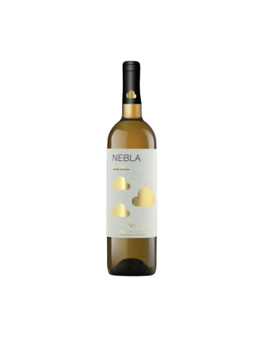 🥂 Verdejo - Nebla, Castilla y León | Vin Alb Sec de la Vicente Gandía