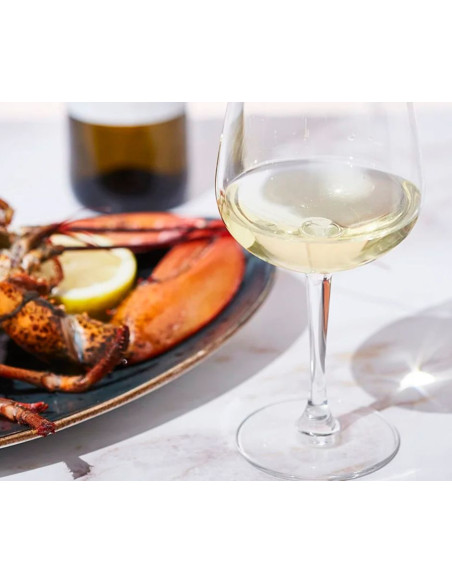 🥂 Verdejo - Nebla, Castilla y León | Vin Alb Sec de la Vicente Gandía